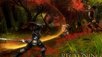 Kingdoms-of-amalur-reckoning-1