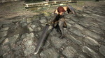 Dragons-dogma-1323417441190936