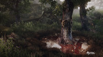 ___-vanishing-of-ethan-carter-1382093143282598