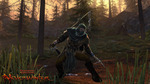 Neverwinter-138794936133802