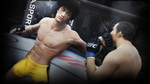 Ea-sports-ufc-1396850472409977