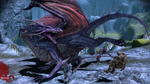 Dragon-age-origins-5