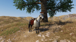 Mount-and-blade-2-bannerlord-1507981253331863