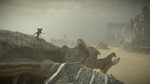 Shadow-of-the-colossus-1509456214848038