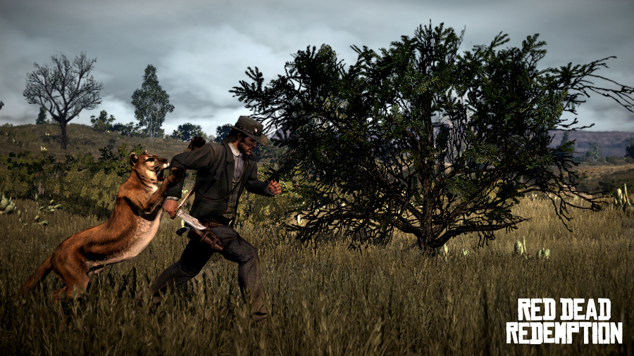 Red-dead-redemption-16