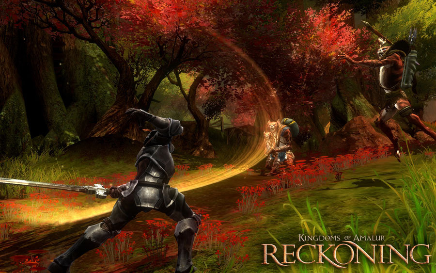 Kingdoms-of-amalur-reckoning-1