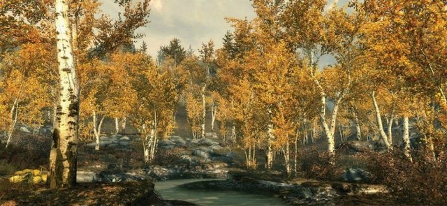 The-elder-scrolls-5-skyrim-1313181642762041