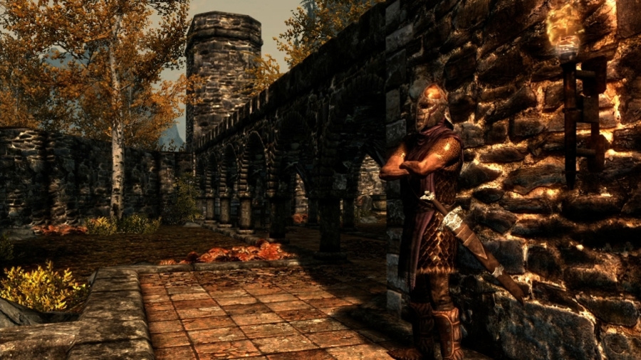 The-elder-scrolls-5-skyrim-1318920920605876