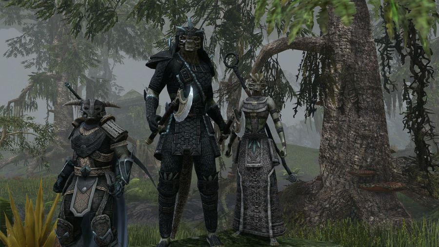 The-elder-scrolls-online-1351352756623547