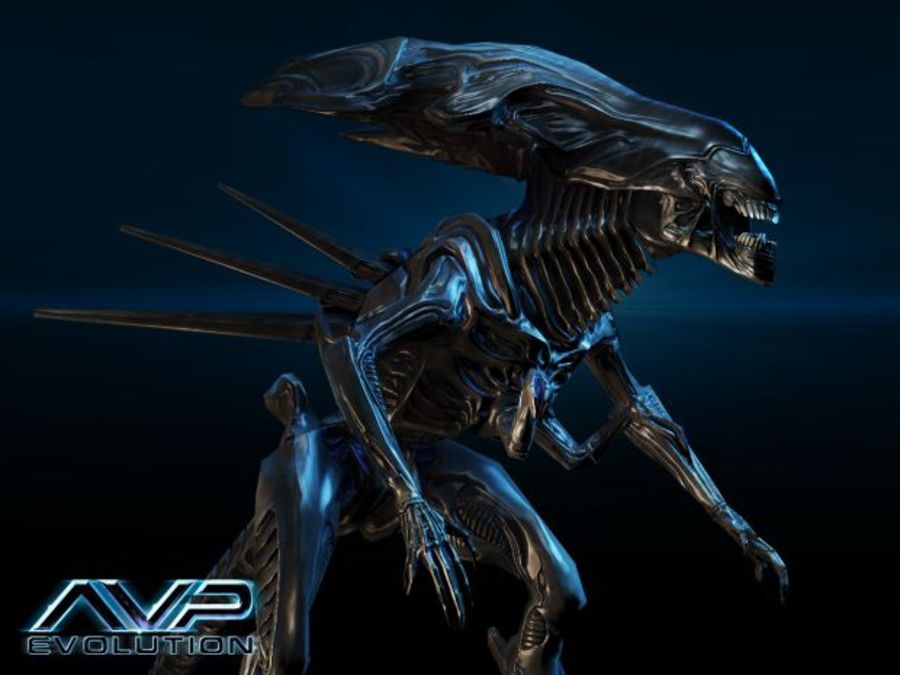 Aliens-vs-predator-evolution-1353496737545408
