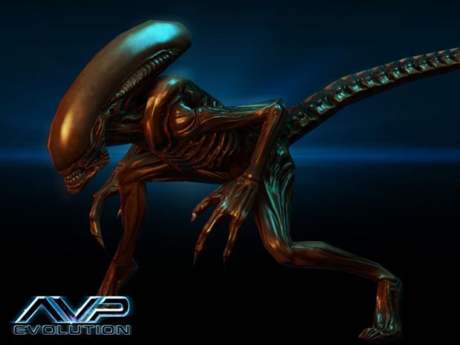 Aliens-vs-predator-evolution-1353496737545410