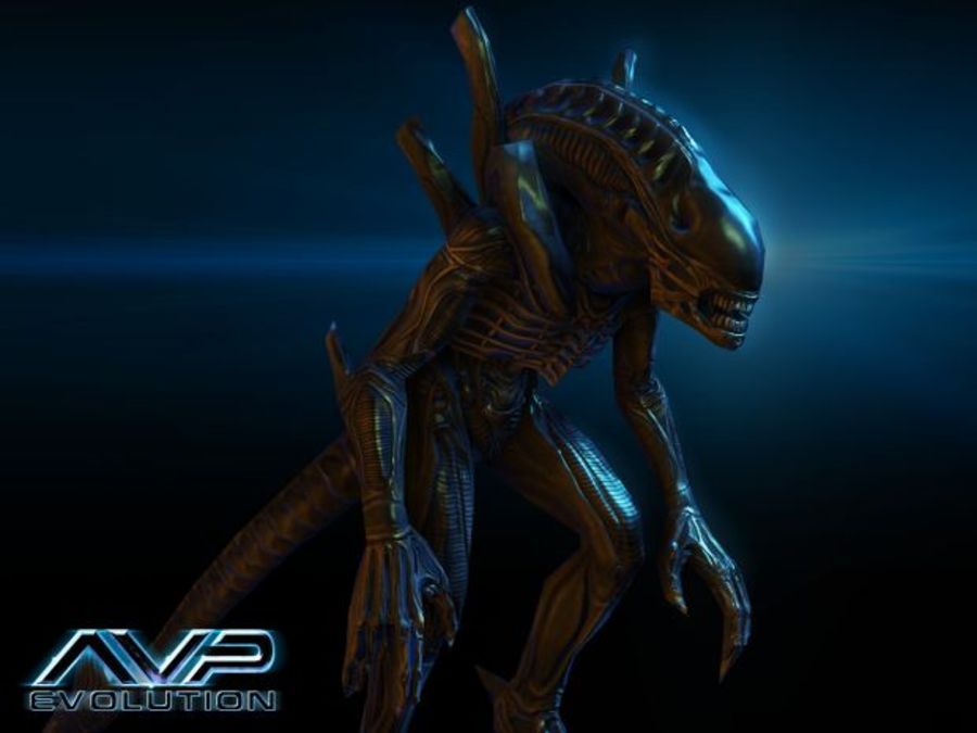 Aliens-vs-predator-evolution-1353496737545411