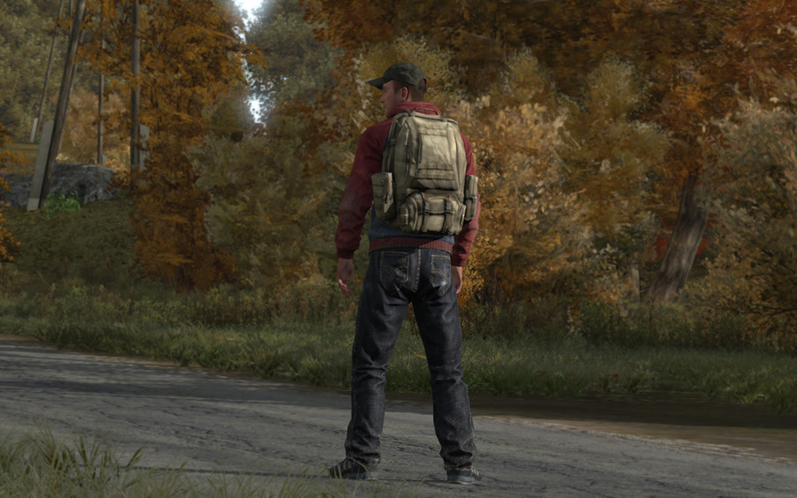 The-dayz-136328176241178