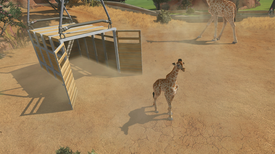 Zoo-tycoon-1377528039655779