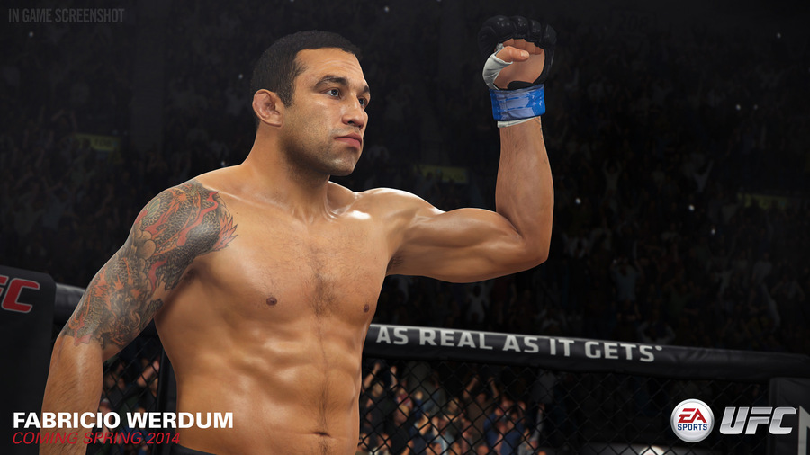 Ea-sports-ufc-139565065244553