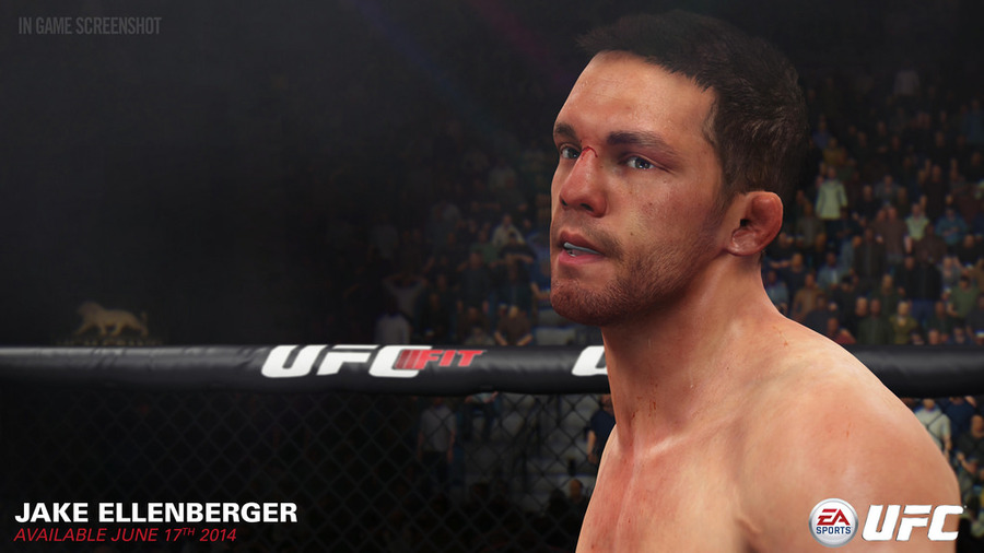 Ea-sports-ufc-1401081829619573