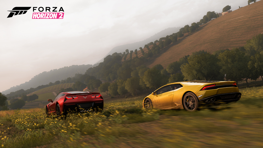 Forza-horizon-2-14024817859251