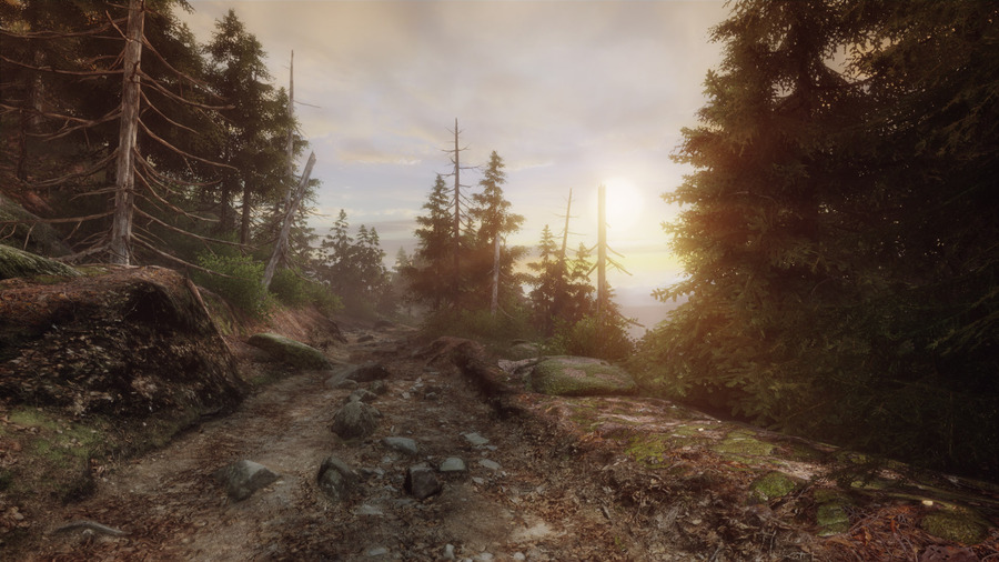 The-vanishing-of-ethan-carter-1407215336590996