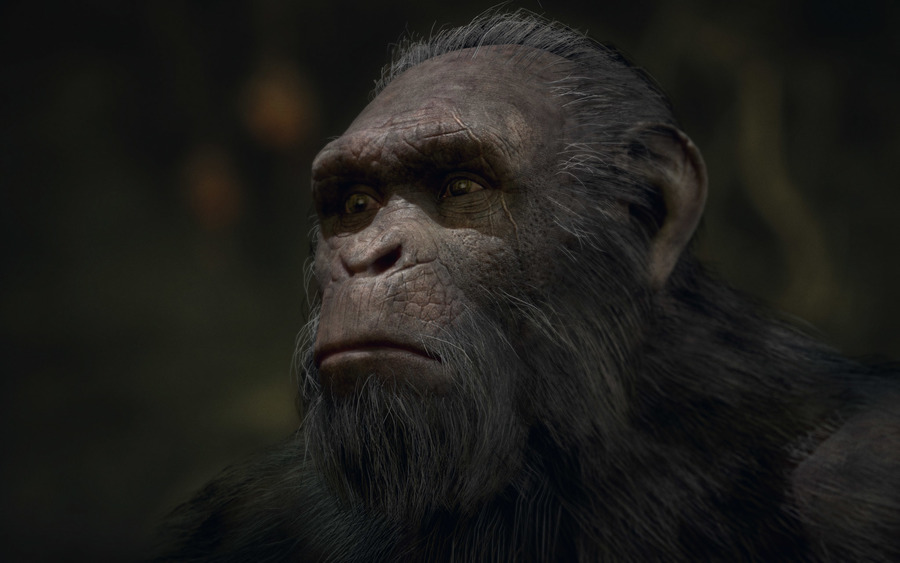 Planet-of-the-apes-last-frontier-1503069037374904