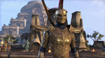 Видео The Elder Scrolls Online: Morrowind - город Вивек