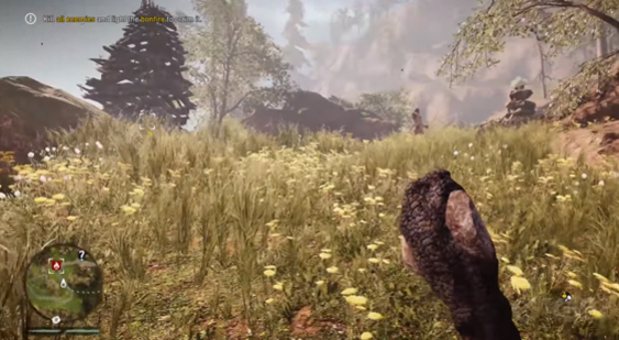 Видео Far Cry Primal - захват позиции
