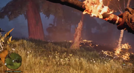 Видео Far Cry Primal - лесной пожар