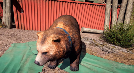 Геймплей Far Cry 5 - медведь