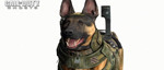 Видео Call of Duty: Ghosts - сравнение технологий с Modern Warfare 3